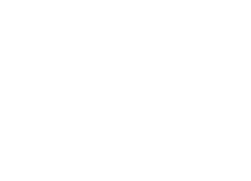 singularity computers logo